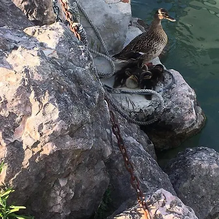 Casa Caterina View Holidays *